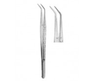 Dental Tweezers